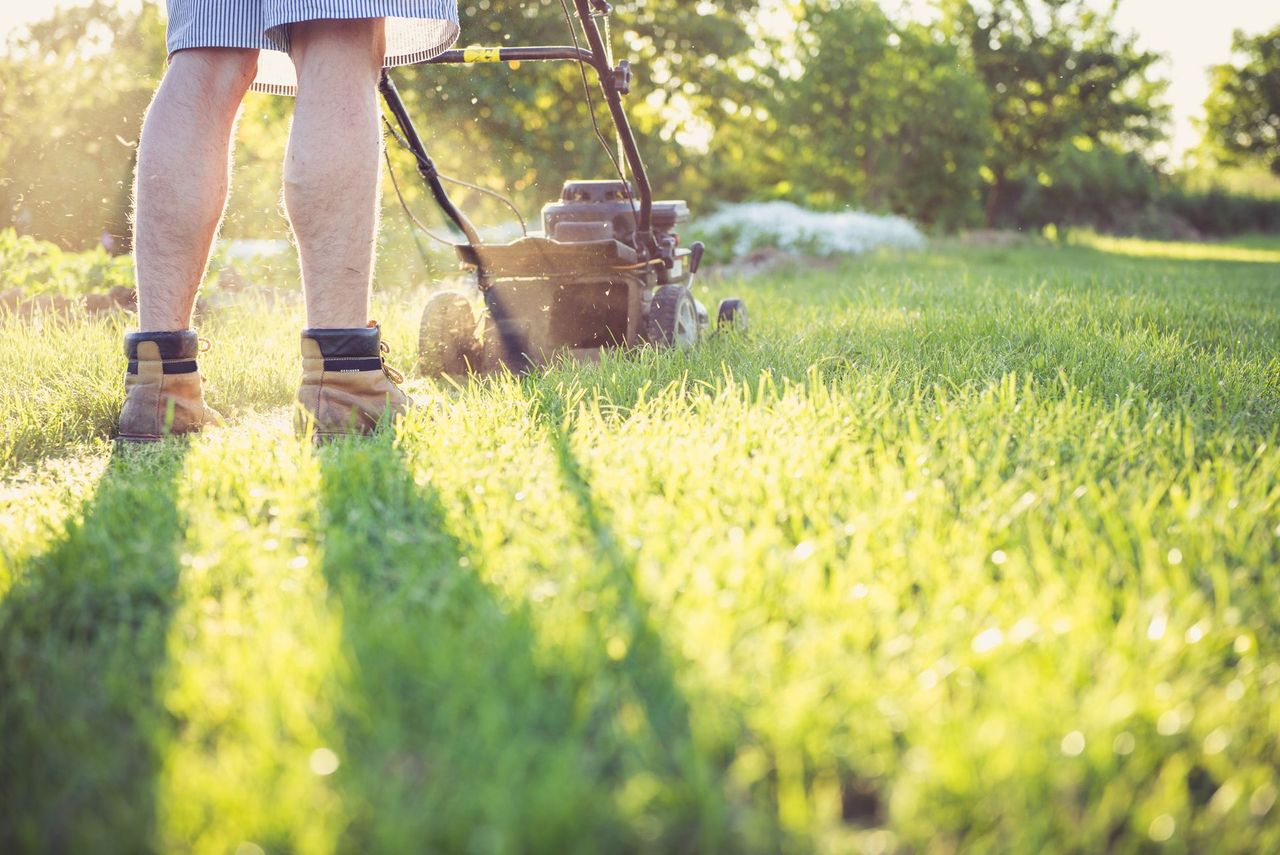 Corte de pasto en un jardín